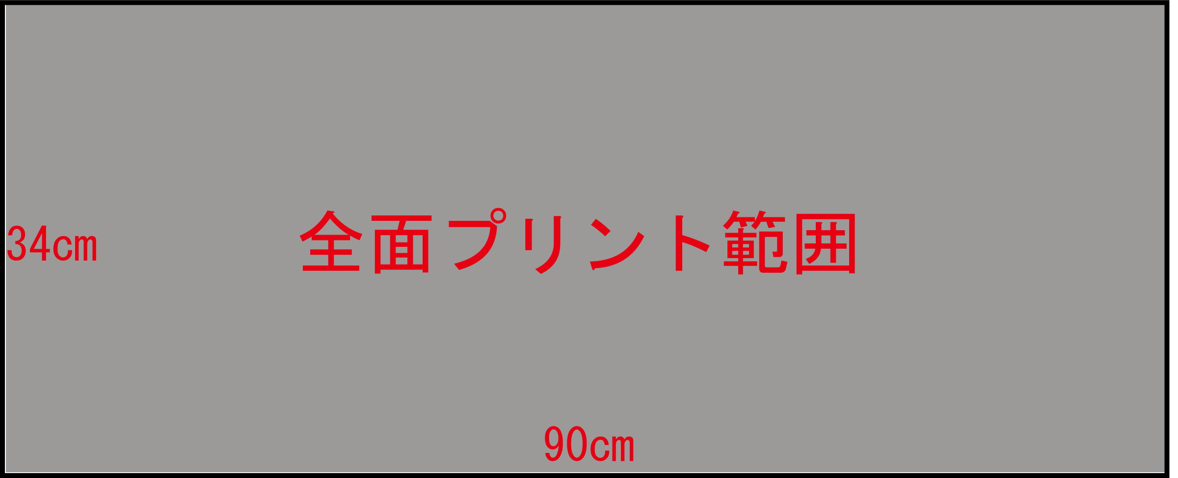 プリント可能範囲（ダミー）