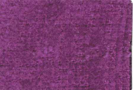 ヴァイオレット