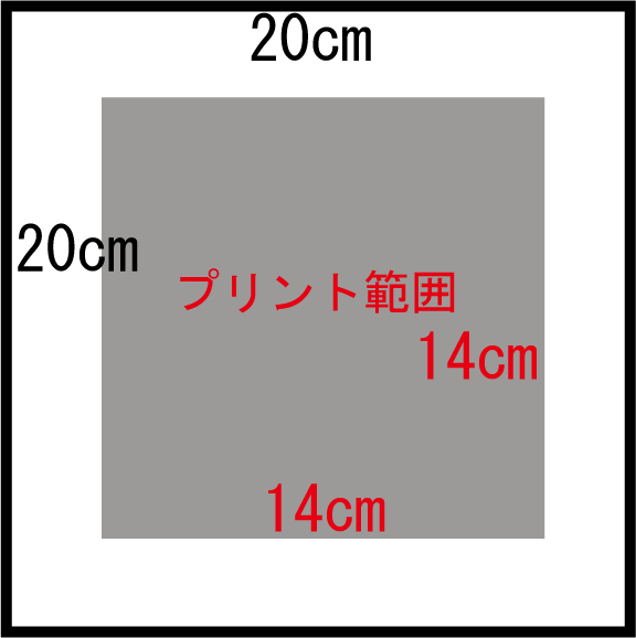 プリント可能範囲（ダミー）
