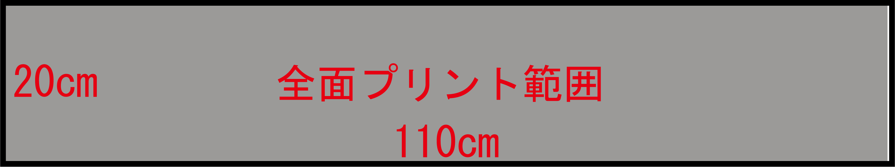 プリント可能範囲（ダミー）