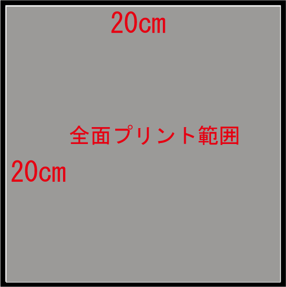 プリント可能範囲（ダミー）