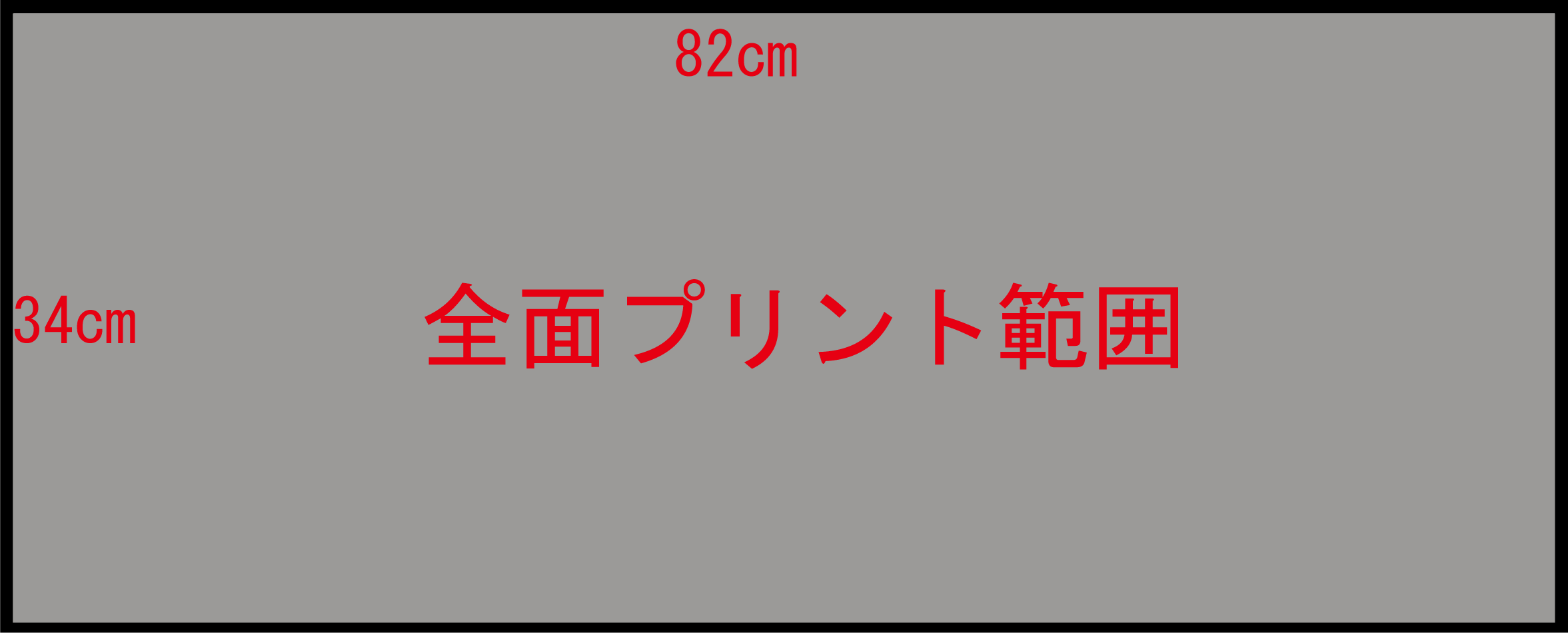 プリント可能範囲（ダミー）