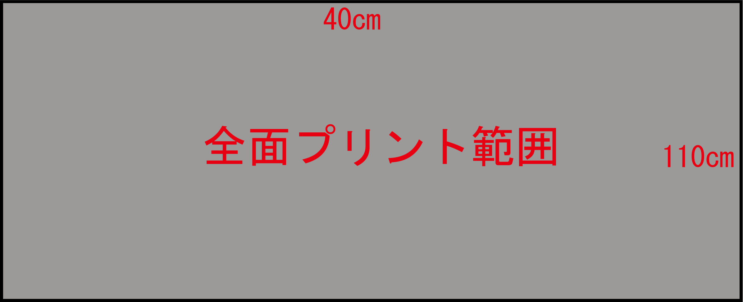 プリント可能範囲（ダミー）