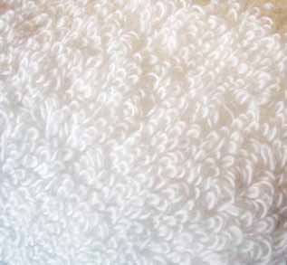 今治フェイスタオル